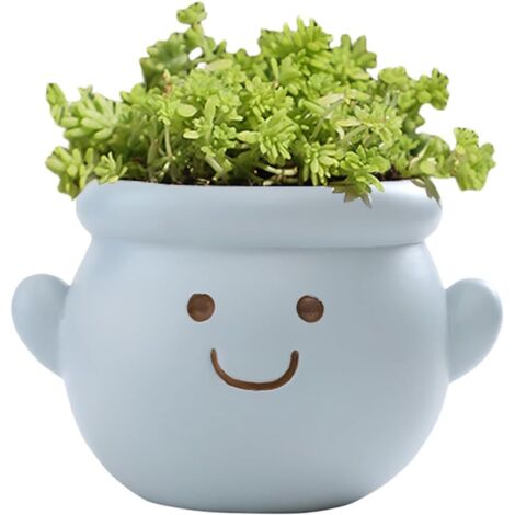 Cute face-shaped flower pot, small resin human head flower pot, suitable for indoor plants, fun smiley face flower pot, succulent plant pot, with drainage holes, a good choice for birthday and Christm (1/5)