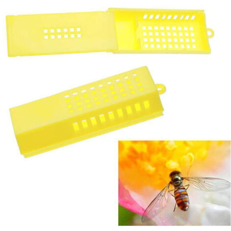 100 pièces cages transport abeille reine jaune isolée apiculture ruche (1/5)