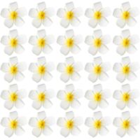 25 Frangipani Hair Clips, Frangipani Hair Clips, Hawaiian Party Girl Flower Clips