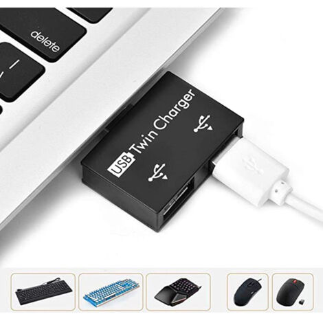 Mini Hub USB 2 Ports, Double Chargeur USB pour PC et Disques Flash