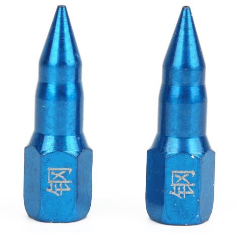 Buse de Graisse en Acier Inoxydable - 2 Pièces avec Aiguille pour Débouchage - Accessoire de Graisseur Bleu (1/5)