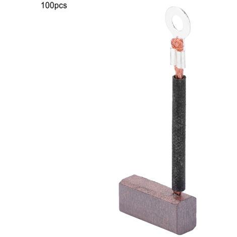 100 pièces Balais en Carbone pour Pompe à Eau J460 - Pièces de Rechange Moteur