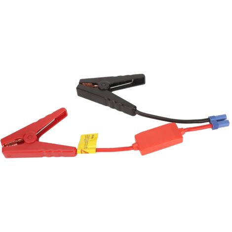 Câble de démarrage 10 AWG avec pinces robustes et protection inverse pour batterie auto (1/5)