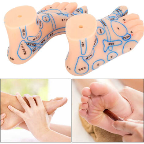 Planche d'acupuncture pied 15cm pour réflexologie et formation médicale