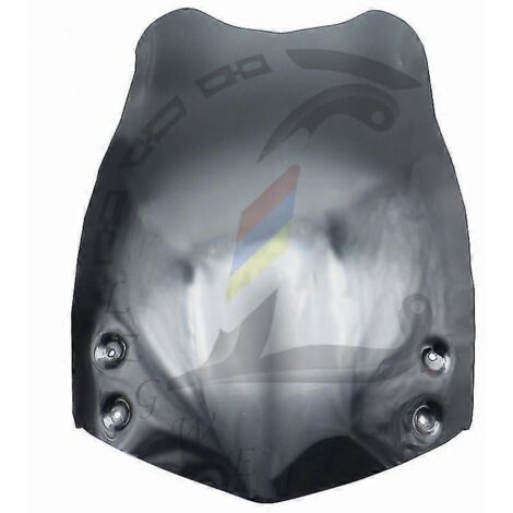Déflecteurs d'air pour pare-brise avant BMW F 650 GS (2006-2004) - Noir (1/4)