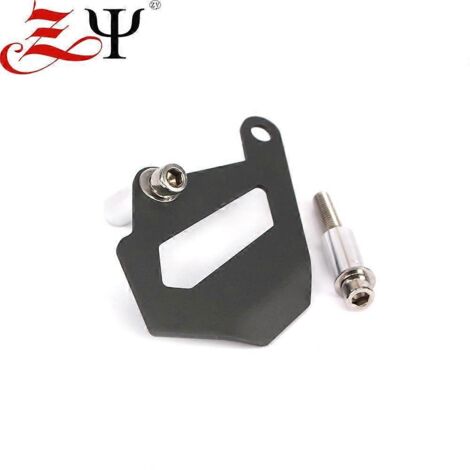 Compatible avec BMW R1200GS, R1250GS, Advance et Waterbird : cache-pompe de frein arrière, protection d'étrier arrière – Titane (1/4)