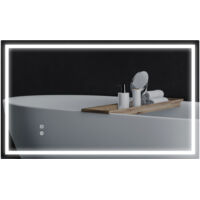 Specchio per Bagno con Luci LED Regolabili a 3 Colori e Strato Antiurto, in Vetro e Metallo, 100x3x60 cm