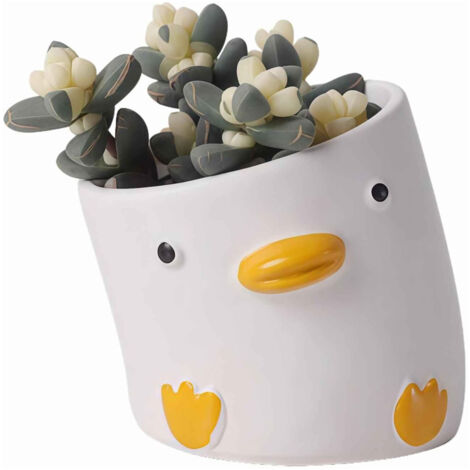Pot de Plante en Céramique Canard, Pot de Fleur Miniature pour Cactus et Succulentes, Cache-Pot Décoratif Mignon - 3.54×3.54 Pouces (1/5)
