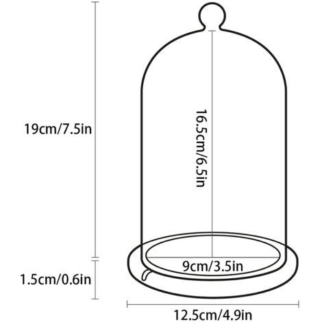 Cloche en Verre Transparent avec Fond en Bambou pour Décoration de Mariage, Fêtes et Arrangements Floraux