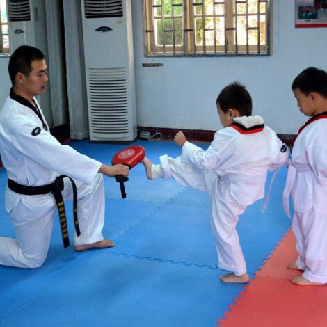 Punching Bag for Taekwondo Karate Kickboxing Training Double Kick Pad (1/5)