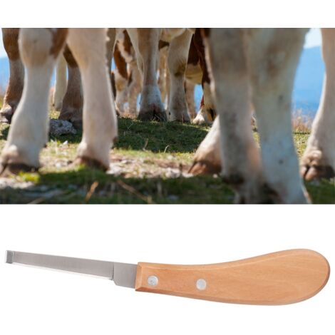 Couteau à Sabot en Acier Carbone pour Bovins et Chevaux, Lame Droite pour Parage (Droitier) (1/5)