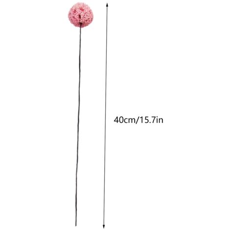 Fleurs Artificielles Billy Ball Séchées pour Décoration Maison et Jardin (1/5)