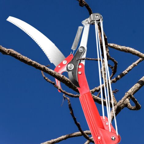 Taille-haie à 4 roues pour arbres et jardin - Cisaille de précision (1/5)