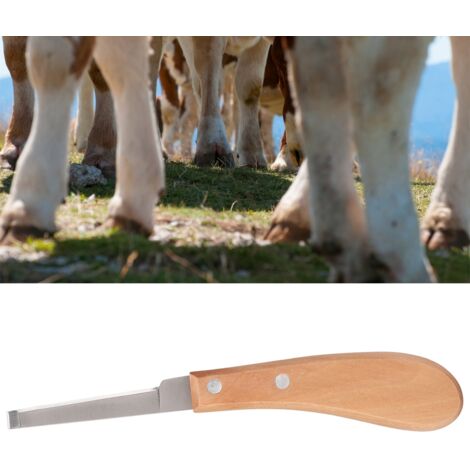 Couteau à Sabot en Acier Carbone pour Bovins et Chevaux, Lame Droite pour Parage (Gaucher) (1/5)