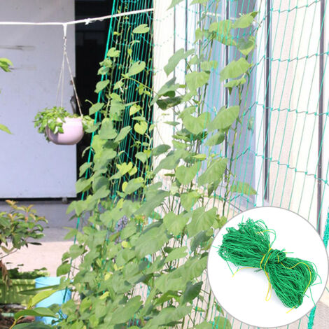 Filet de soutien pour plantes grimpantes de jardin 3,6 x 1,8 m - Treillis de croissance végétale (1/5)