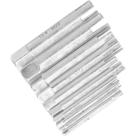 10 Pièces Extracteur de Vis en Acier Rapide, Kit de Dépose de Têtes Cassées avec Boîte de Rangement (1/5)