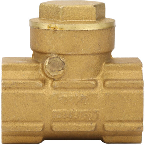 Clapet anti-retour automatique en laiton DN15 pour eau, huile et milieux acides (1/5)