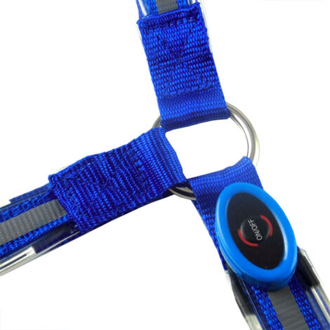Collier de Poitrail LED pour Cheval Haute Visibilité Équipement de Sécurité Équestre Réglable (1/5)