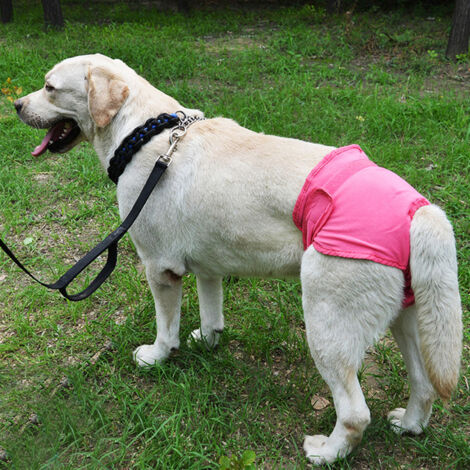 Culotte Hygienique pour Chienne en Polyester - Couche Sanitaire pour Chiot (Rose Taille XS) (1/5)