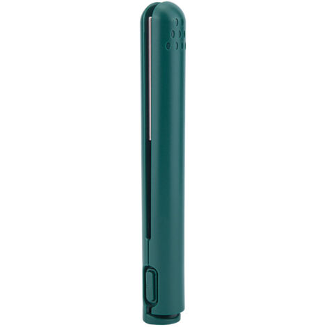 Mini Fer à Lisser 2 en 1 USB avec Plaques en Céramique pour Lissage et Boucles