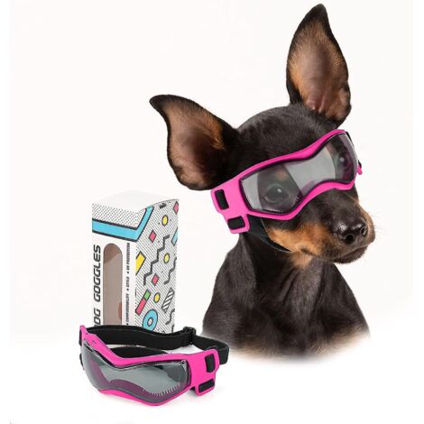 Lunettes de protection UV pour chiens de petite et moyenne race, résistantes au vent et à la poussière, avec sangles réglables. (1/5)