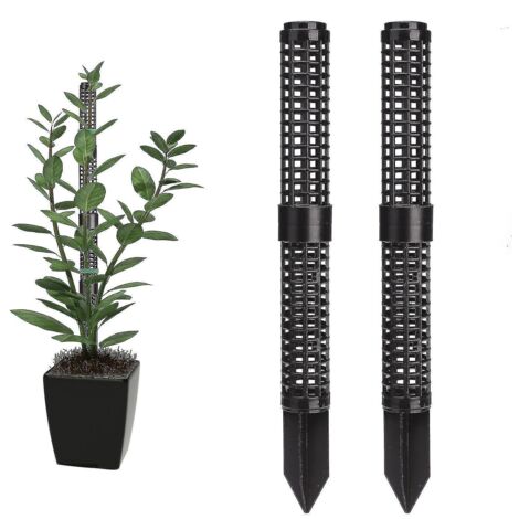 Lot de 8 tuteurs en mousse pour plantes grimpantes - (1/5)