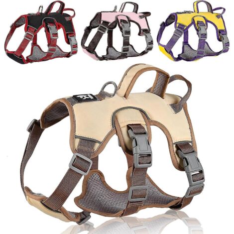 Harnais pour chien de petite, moyenne et grande taille, harnais de sécurité réfléchissant avec poignée rembourrée pour l'entraînement en extérieur - M - Beige (1/5)