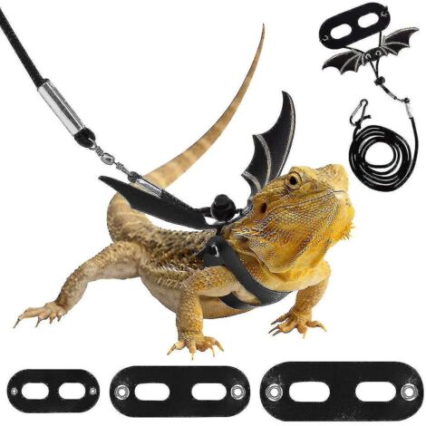 Laisse en cuir pour reptiles, harnais d'extérieur avec ailes de chauve-souris, laisse réglable, 3 tailles --- (1/4)