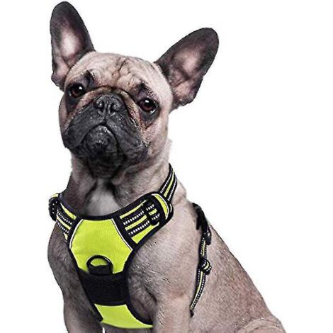 Harnais anti-traction rembourré et réglable pour grands chiens, idéal pour l'entraînement ou les promenades - 55-75 cm - Vert (1/5)