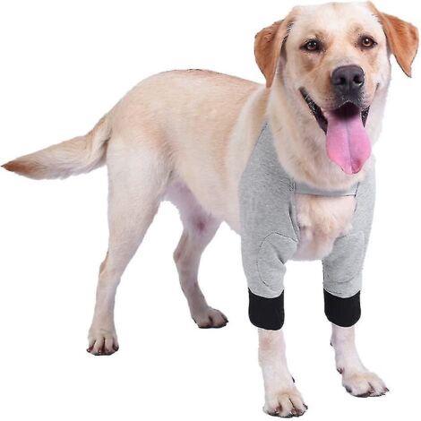 Attelle de coude pour chien, manchon de récupération pour chien, bandage de coude pour chien, attelle de genou pour chien après une chirurgie - (L) - (1/5)
