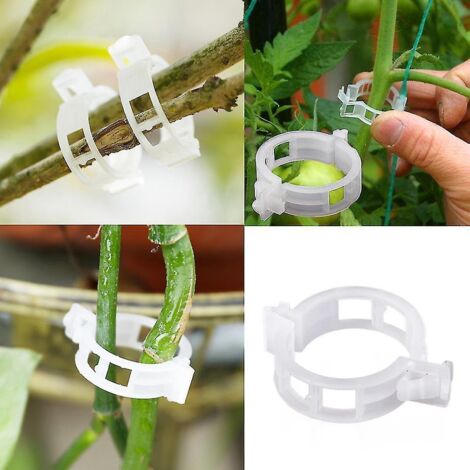 100 clips pour tomates, supports et tuteurs pour plantes grimpantes (1/4)