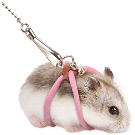 Harnais rose pour hamster avec anneau réglable, harnais pour petits animaux de compagnie (souris, hamster, furet), laisse (1/5)