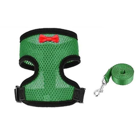 Harnais et laisse pour poulet, oie et chiot - Gilet confortable et ajustable - Taille M - Vert (1/5)