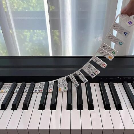 Étiquettes autocollantes amovibles et réutilisables en silicone pour clavier de piano (88 touches) - Colorées (1/3)