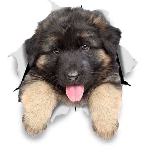 Lot de 6 stickers muraux 3D décoratifs représentant des chiots berger allemand (14/19 cm) (1/5)