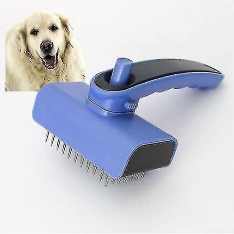 Brosse autonettoyante pour Golden Retriever