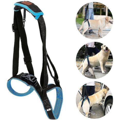 Harnais de levage pour chien, support portable pour pattes arrière, idéal pour soulever un chien handicapé ou blessé - XL (1/5)