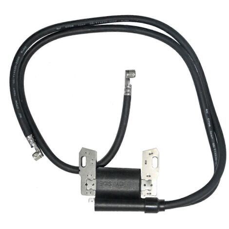 Bobine d'allumage pour tondeuse à gazon et Stratocaster (1/5)