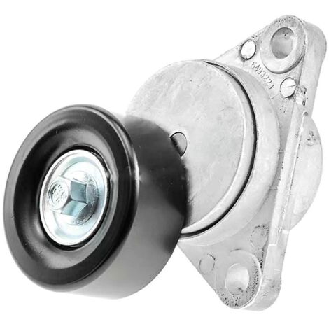 Poulie tendeuse de courroie de qualité pour voiture 96349976 (1/5)
