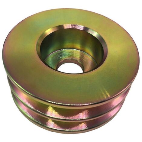 Poulie d'alternateur double 841812 pour (1/5)