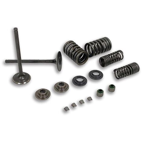 Kit de ressorts de soupape et joints de tige pour moteur de moto noir (1/5)