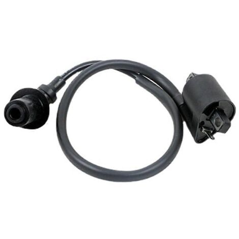 Bobine d'allumage pour moto avec fil et capuchon de bougie, noire (1/5)