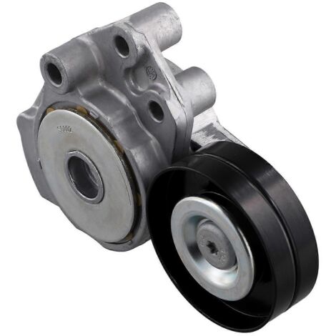 Tendeur automatique de courroie de transmission pour A1 FABIA SEAT, argent et noir (1/5)