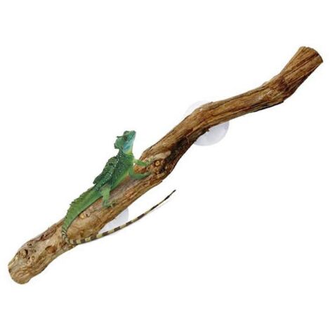 Branches pour reptiles grimpants, décorations naturelles antidérapantes pour habitat (voir photo) (1/5)