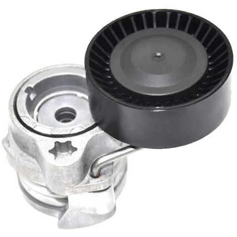 Ensemble tendeur de courroie avec poulie pour BMW 545i (2004-2005), 550i et 645i (voir illustration). (1/5)
