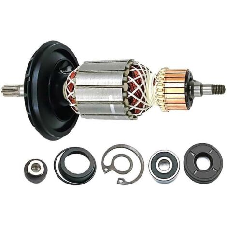 Kit d'induit de remplacement pour rotor d'induit RH540 1619P10864 (1/5)