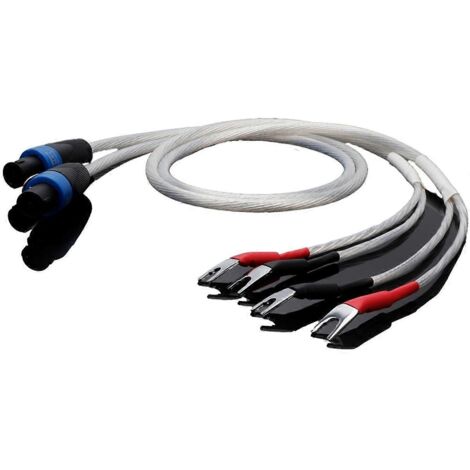 Câble audio plaqué argent OCC, câble pour haut-parleur à rayons (1/5)