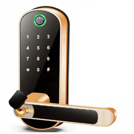 Serrure de porte Tuya Smart Fingerprint Door Lock avec application de contrôle à distance et sans clé, couleur Or (1/5)