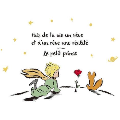 Le Petit Prince - Stickers muraux avec citations inspirantes - Décoration murale pour chambre d'enfant (1/5)