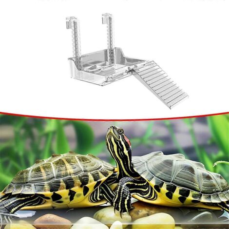 Nouvelle plateforme pour aquarium à tortues et reptiles aquatiques (1/5)